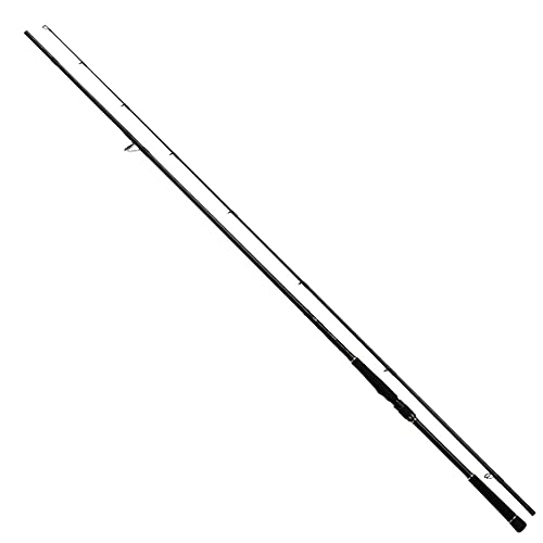 ダイワ(DAIWA) シーバスロッド ラテオ R 100M R 釣り竿|TalesStore 店