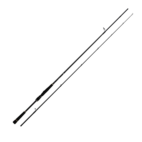 DAIWA　LATEO 100MH・R シーバスロッド 020240516114049.jpg