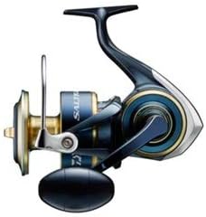 ダイワ(DAIWA) スピニングリール 20 ソルティガ 10000-P(2020模範例)