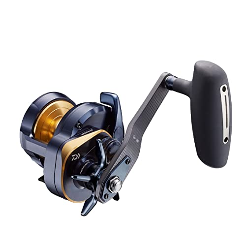 ダイワ(DAIWA) ベイトリール 22 ソルティガ 15L-SJ(2022模範例)