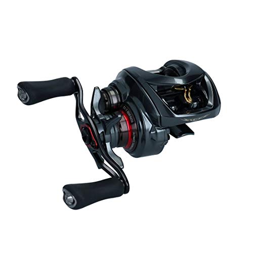 ダイワ(DAIWA) ベイトリール 19 スティーズ CT SV TW 700SH(2019モデル)