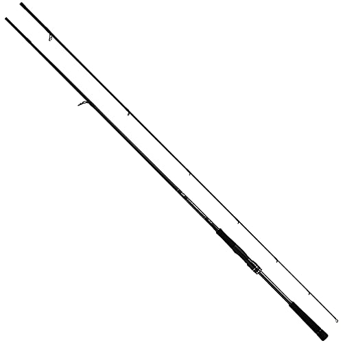 ダイワ 21ラブラックス AGS96M 020240519031155.jpg