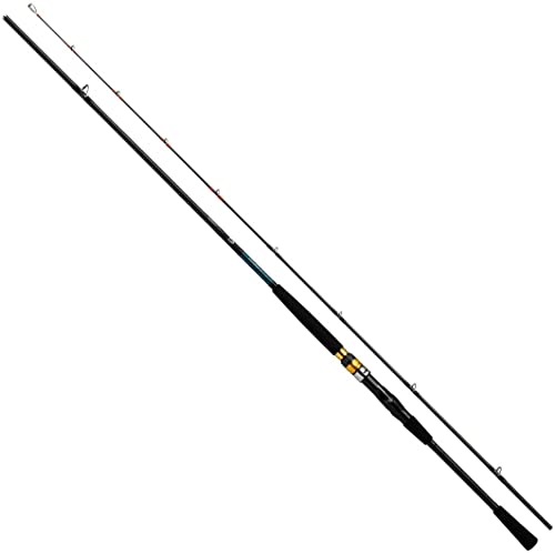 ダイワ(DAIWA) シーパワー73 30-210 N 黒いこと