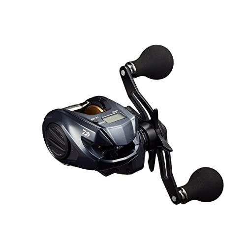 ダイワ(DAIWA) 両軸リール 22 ライトゲーム IC 150L-DH(2022モデル)