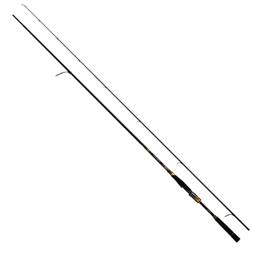 ダイワ(DAIWA) 20 モアザン ブランジーノ EX AGS 1010ML/M