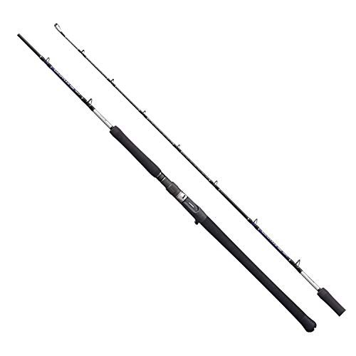 シマノ(SHIMANO) ソルトウォーターロッド オフショア(ジギング) グラップラーBB タイプJ 2021 B56-6 オフショア ジギング｜TalesStore 店