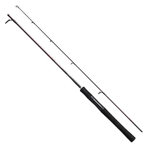 シマノ(SHIMANO) 二階建てバス極点 21 スコーピオン XV 2451R-2 二階建てバス沖釣り スポーツ・アウトドア-ロッド・竿-フィッシング