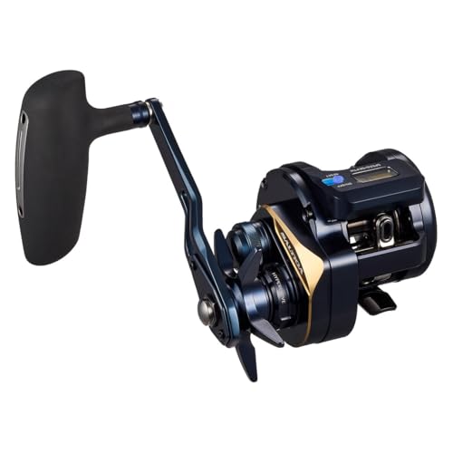 ダイワ(DAIWA) ジギングベイトリール 25SALTIGA(ソルティガ) 集積回路 300H-SJ-C