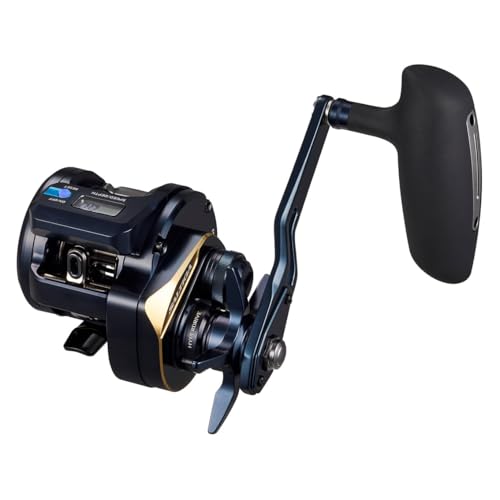 ダイワ(DAIWA) ジギングベイトリール 25SALTIGA(ソルティガ) 集積回路 300HL-SJ-C