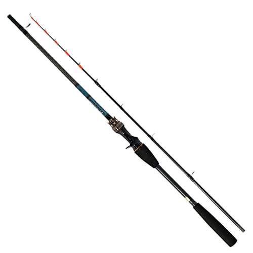 ダイワ(DAIWA) 船竿 テンヤタチウオ X 91-180 R ブラック