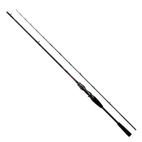 ダイワ(DAIWA) 20 点火装置アマダイX 190 R