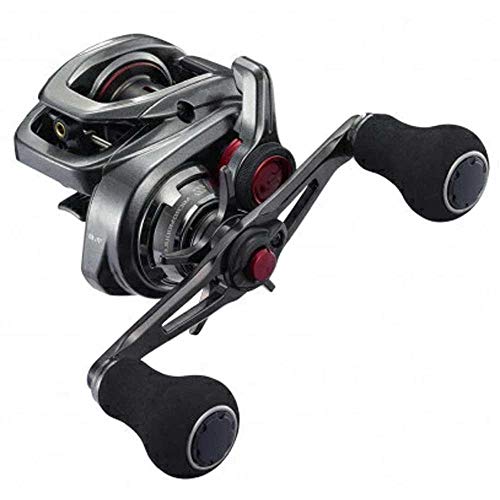 シマノ(SHIMANO) ベイトリール 両軸木管 ソルト エンゲツ 2021 101HG LEFT オフショア 引き分け騾馬