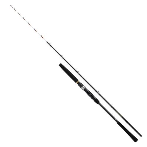 ダイワ(DAIWA) 船竿 ビシアジX MH-150・J|TalesStore 店