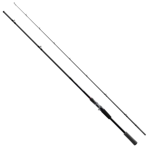 シマノ(SHIMANO) ロックフィッシュロッド 25ソルティーアドバンス ショアモデル ロックフィッシュ B76MH