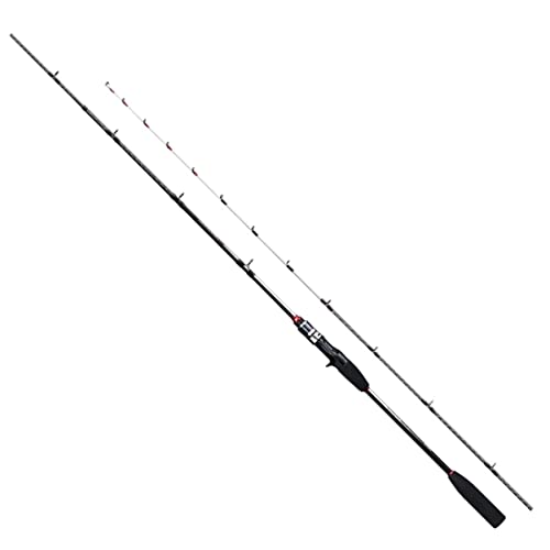 シマノ(SHIMANO) ロッド 船竿 19 ライトゲーム BB TYPE64 M200 手持ちの釣り向け エントリーモデル