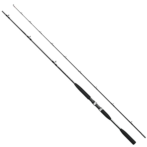 シマノ(SHIMANO) 汎用 船ロッド ホリデーマリン 64 30-300