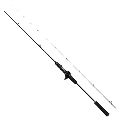 シマノ(SHIMANO) 鯛ラバロッド 25炎月 SS N-B66MH-FS｜TalesStore 店
