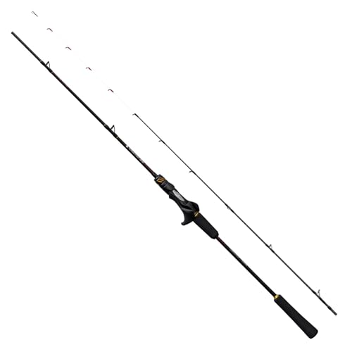 シマノ(SHIMANO) 鯛ラバロッド 25炎月 SS N-B68ML-S/2