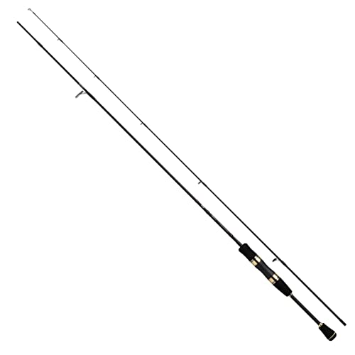 ダイワ(DAIWA) トラウトX AT 60L N ブラック
