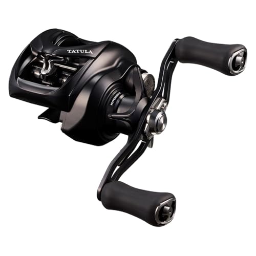 ダイワ(DAIWA) ベイトリール 25タトゥーラ TW 200XHL 25,757円