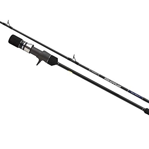 シマノ(SHIMANO) ジギングロッド 20 ゲームタイプスローJ B66-3 青物 アカムツ 根魚 ハタ類