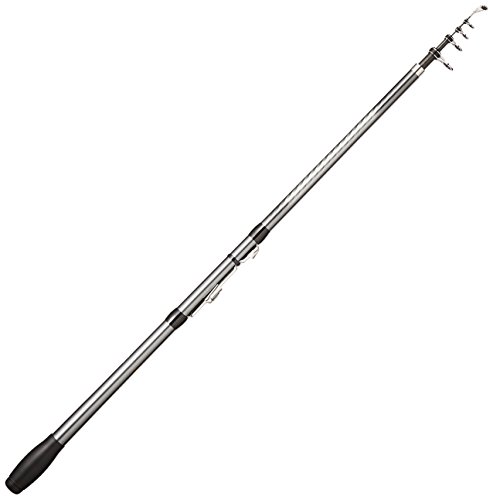 シマノ(SHIMANO) ロッド 投げ竿 17 ホリデースピン ショートモデル (振出) 250HXTS ライトな投げ釣り用 全長2.50m 自重155g