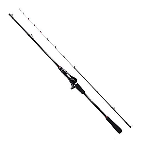 シマノ(SHIMANO) 極点 船竿 19 ともし火競り合い SS 印字機82 H185 右 太刀魚 ライトオニカサゴ ライトアカムツ カレイ マルいか アマダイ