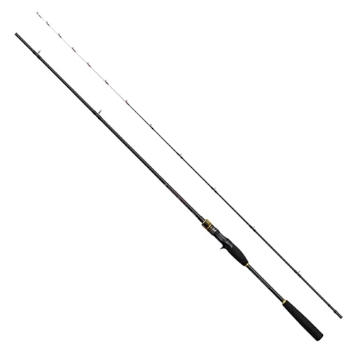 シマノ(SHIMANO) 船竿 25炎月 BB 一つテンヤマダイ B235MH+|TalesStore 店