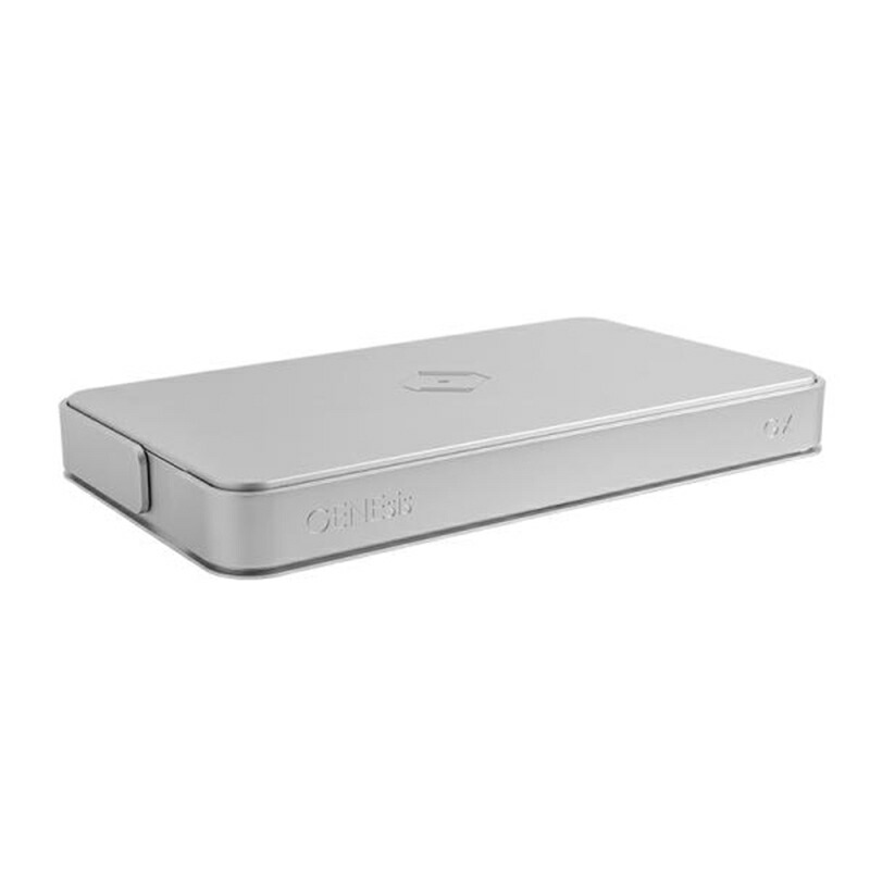Thunder Data クロックジェネレーター Silent Angel GX-S SILVER しろがね色 無声映画天使 オーディオ備品付属物余分の物