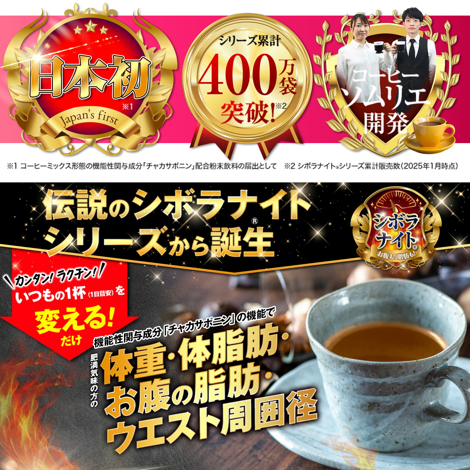 10%ポイントバック中！】【公式】シボラナイトダイエットコーヒー 送料