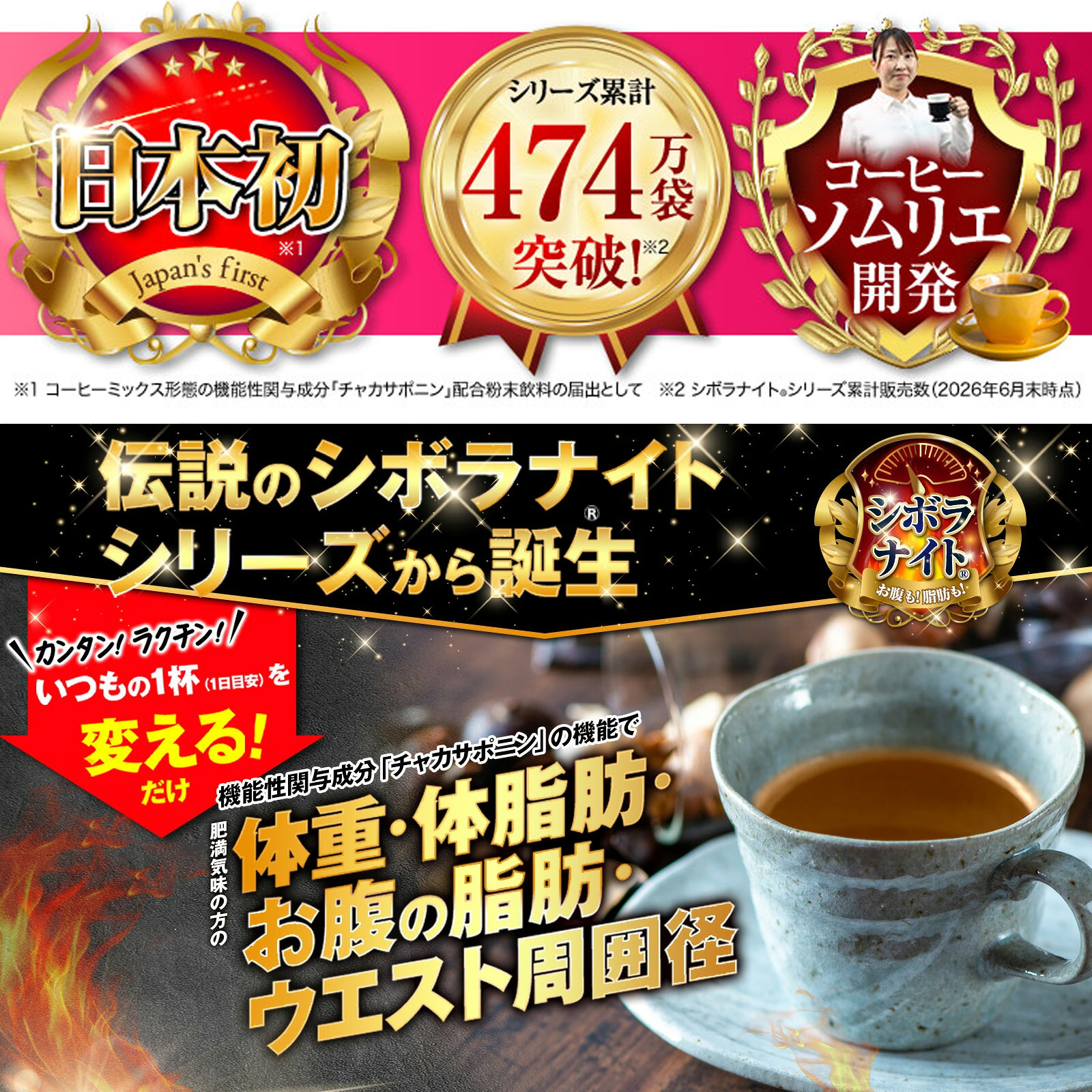 10%ポイントバック中！】【公式】シボラナイトダイエットコーヒー 送料 