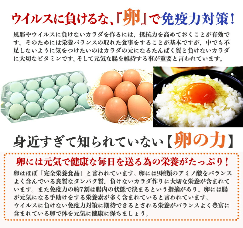 在庫あり/即出荷可】 業務用たまご 太陽卵赤玉Lサイズ 80個入り 送料無料 家庭用 業者用 箱売り まとめ買い 九州産 大量 タマゴ 玉子 生卵 鶏卵  有名ホテル使用