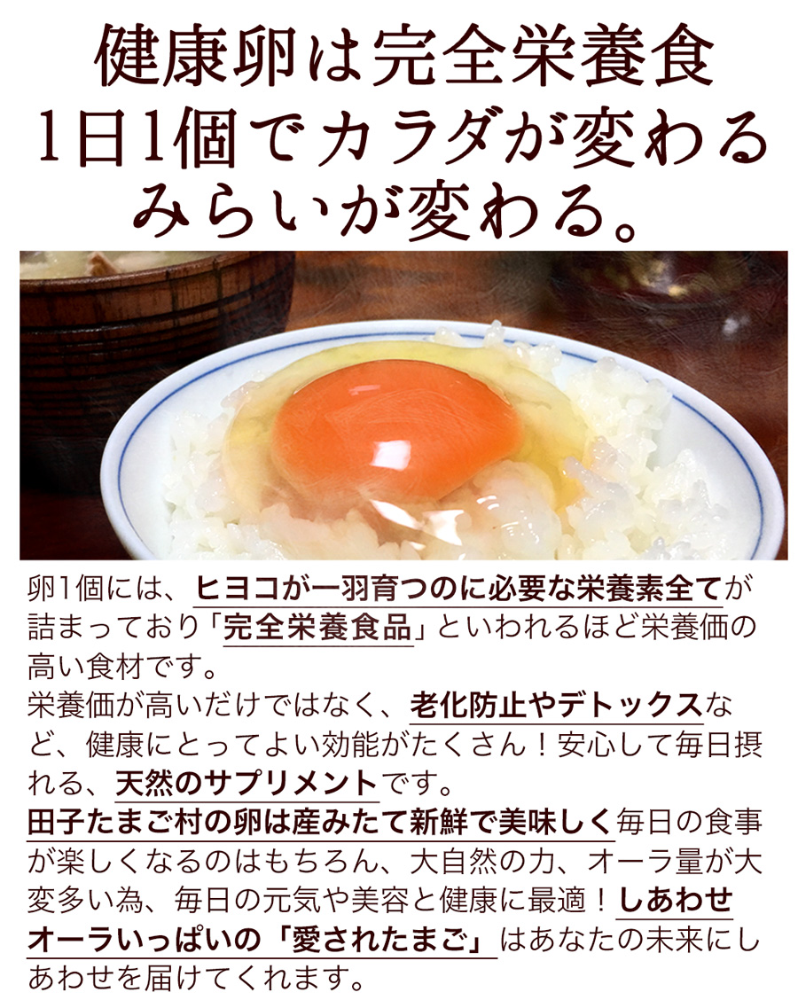 卵 玉子 たまご 高級 卵かけご飯に にんにく卵 30個入 25個 破損保証5個 ギフト お取り寄せグルメ 宅配