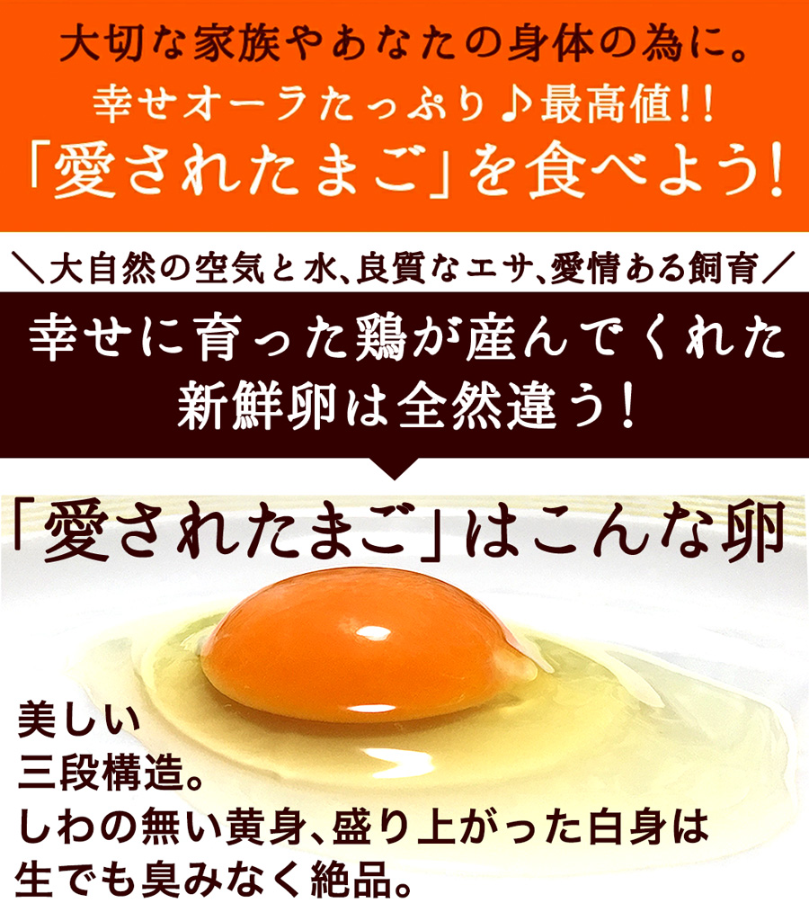 テレビで話題 卵 玉子 たまご 高級 卵かけご飯に 有精卵160個入 生卵128個 破損保証32個 ギフト 送料無料 飲んでも美味 甘く濃厚  生臭さ無し 平飼いでストレスなくのびのび育った純国産鶏産む健康タマゴ 高波動 お取り寄せグルメ fucoa.cl