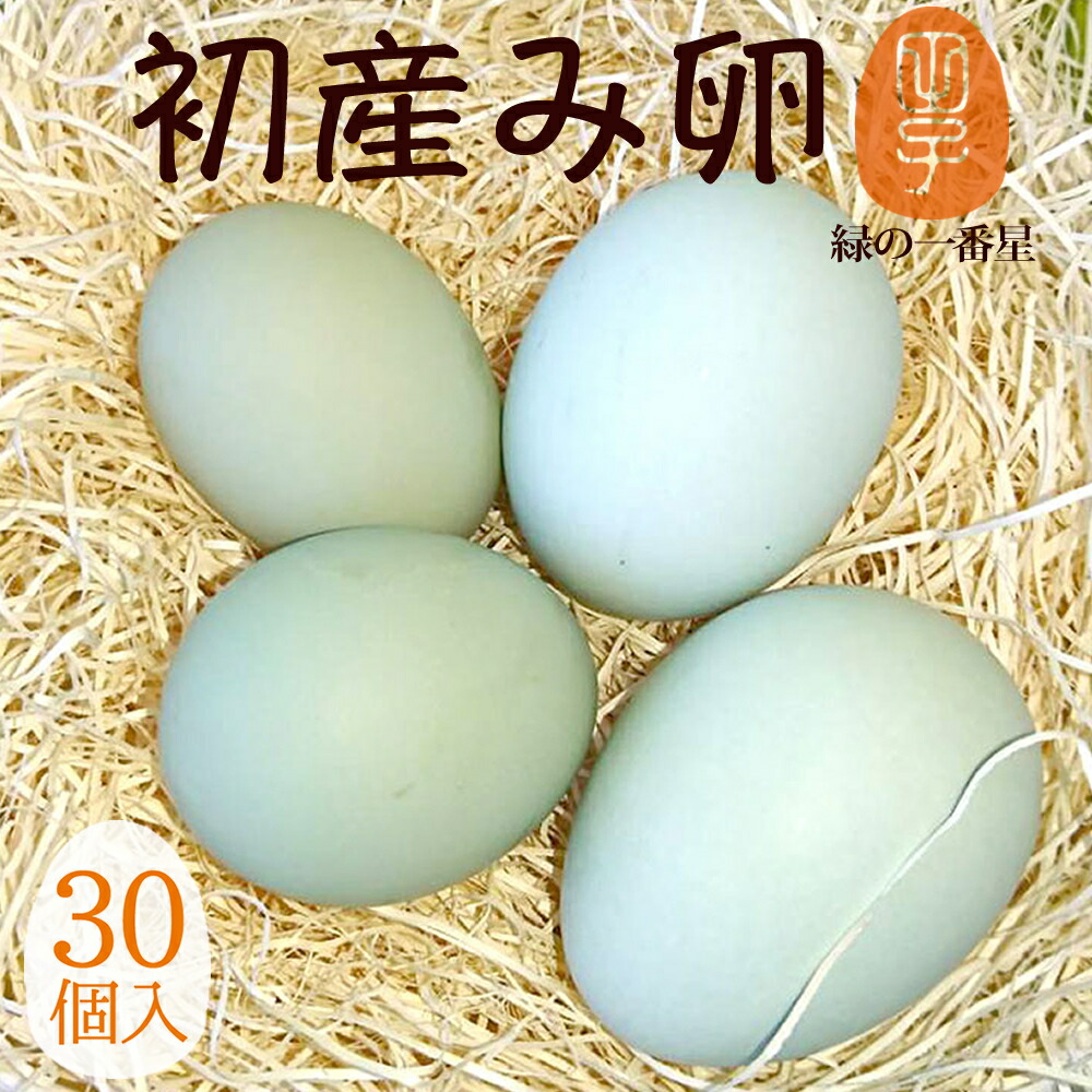 卵 生卵 高級 緑の一番星 初産み卵  たまご ギフト【生卵30個入(生卵25個+破損保証5個)】トレイ入 小さめサイズ 卵かけご飯 アローカナ 大黄卵鶏が産む 青い卵 ブランド卵 緑の卵 のし カード無料 食べ物  TV 紹介 お返し プレゼント お取り寄せ グルメ 玉子 実用的