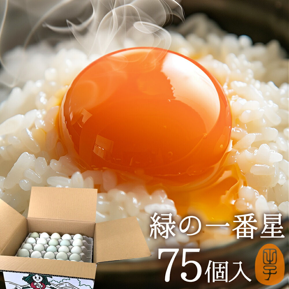 卵 生卵 高級 緑の一番星 たまご ギフト【生卵75個入(生卵60個+破損保証15個)】卵かけご飯 アローカナ 大黄卵鶏が産む 青い卵 ブランド卵 緑の卵 トレイ入 のし カード無料 食べ物  TV 紹介 お返し プレゼント お取り寄せ グルメ 玉子 実用的