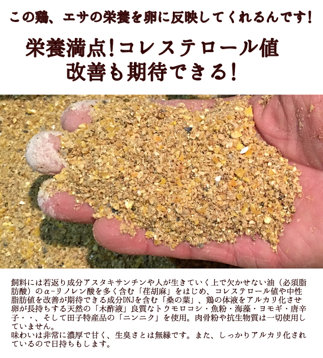 超目玉 卵 緑の一番星75個入 ギフト 送料無料 飲んでも美味 甘く濃厚 生臭さ無 アローカナが進化 大黄卵鶏が産む薄緑殻の高級栄養タマゴ アスタキサンチン A リノレン酸 30 黄身 青い卵 卵かけご飯 低コレステロール お取り寄せグルメ 驚きの安さ Lexusoman Com