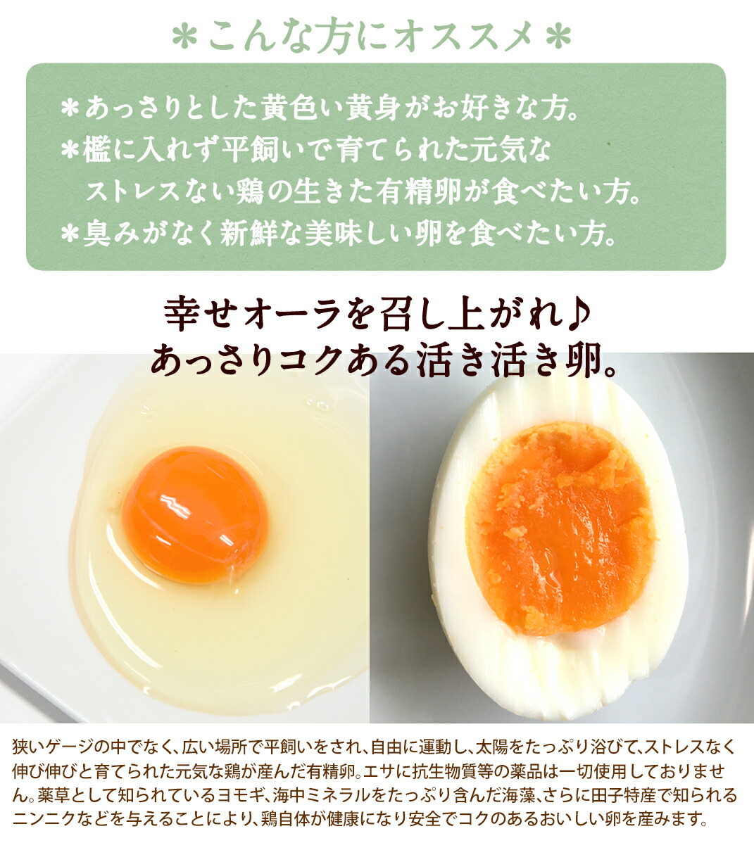 公式 有精卵 160個入 生卵128個 破損保証32個 ギフト 送料無料 皆でシェア 小分け用袋 ネット 無料 飲んでも美味 甘く濃厚 生臭さ無し 平飼いでストレスなくのびのび育った純国産鶏産む健康タマゴ 高波動 卵かけご飯 お取り寄せグルメ 全商品オープニング価格特別 公式 有精卵 160個入 生卵128個 破損保証32個 ギフト 送料無料 皆でシェア 小分け用袋 ネット 無料 飲んでも美味 甘く濃厚 生臭さ無し 平飼いでストレスなくのびのび育った純国産鶏産む健康タマゴ 高波動 卵かけご飯 お取り寄せグルメ 全商品オープニング価格特別