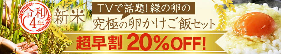 楽天市場】卵 玉子 たまご 高級 卵かけご飯に 緑の一番星 生卵30個入(生卵25個+破損保証5個)(トレイ入) 包装,のし,カード無料！緑の卵  アローカナ大黄卵鶏が産む薄緑殻 食べ物 実用的 TV 紹介 宮川大輔 お返し ギフト : 田子たまご村 楽天市場店