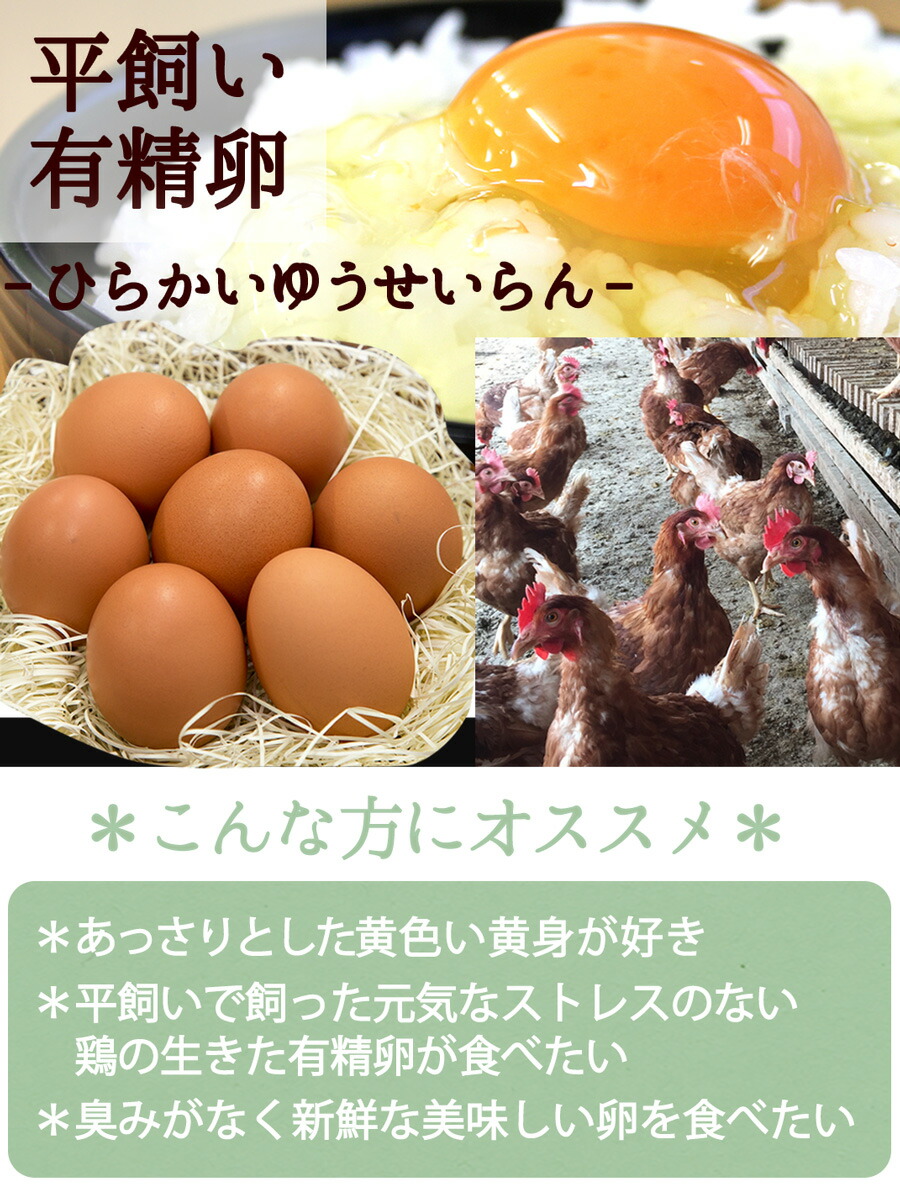 テレビで話題 卵 玉子 たまご 高級 卵かけご飯に 有精卵160個入 生卵128個 破損保証32個 ギフト 送料無料 飲んでも美味 甘く濃厚  生臭さ無し 平飼いでストレスなくのびのび育った純国産鶏産む健康タマゴ 高波動 お取り寄せグルメ fucoa.cl