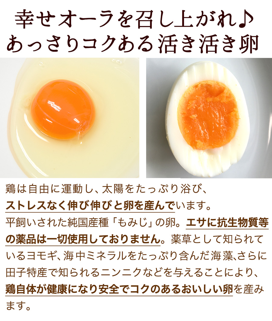 テレビで話題 卵 玉子 たまご 高級 卵かけご飯に 有精卵160個入 生卵128個 破損保証32個 ギフト 送料無料 飲んでも美味 甘く濃厚  生臭さ無し 平飼いでストレスなくのびのび育った純国産鶏産む健康タマゴ 高波動 お取り寄せグルメ fucoa.cl