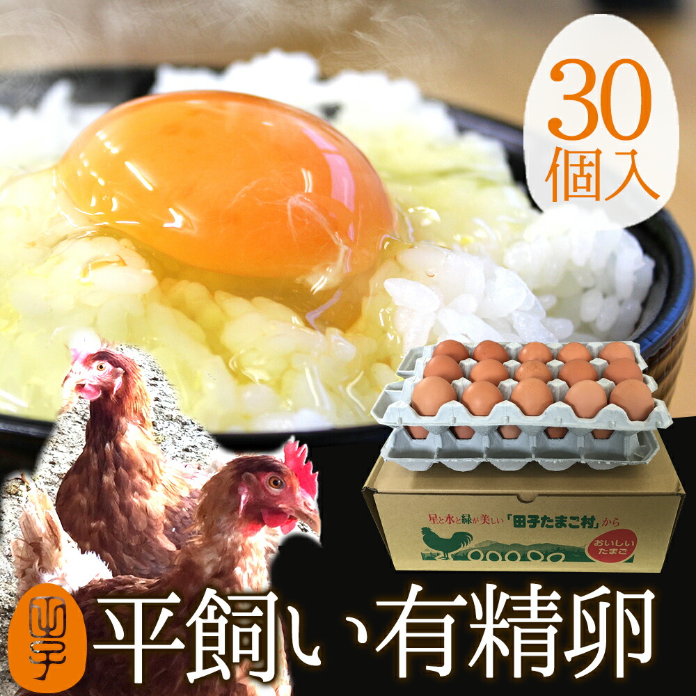 卵 生卵 高級 有精卵 平飼い たまご ギフト【生卵30個入(生卵25個+破損保証5個)】卵かけご飯  トレイ入 のし カード無料 平飼いでストレスなくのびのび育った鶏が産む健康卵 食べ物  TV 紹介 お返し プレゼント お取り寄せ グルメ 玉子 結婚祝い