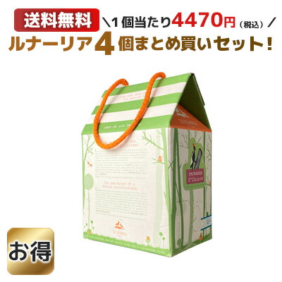 チェラスオーロ・ダブルッツォ BIB バックインボックス 3000ml 4個