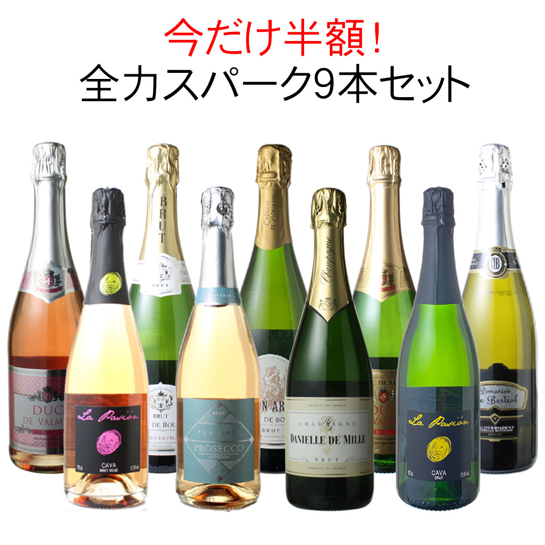 シャンパーニュ9本セット 飲料/酒 ワイン tophouseonline.com