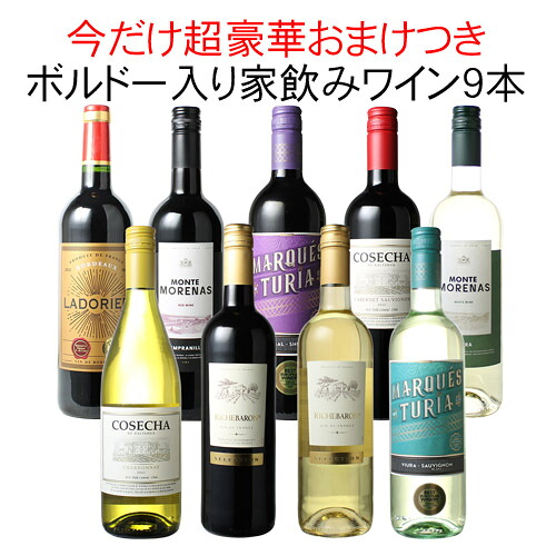 【送料無料】ワインセット 家飲み ワイン 9本 セット ボルドー入 赤ワイン 白ワイン デイリーワイン 飲み比べ パーティー おうちで満喫 ギフト 御祝 誕生日 結婚祝い 第111弾