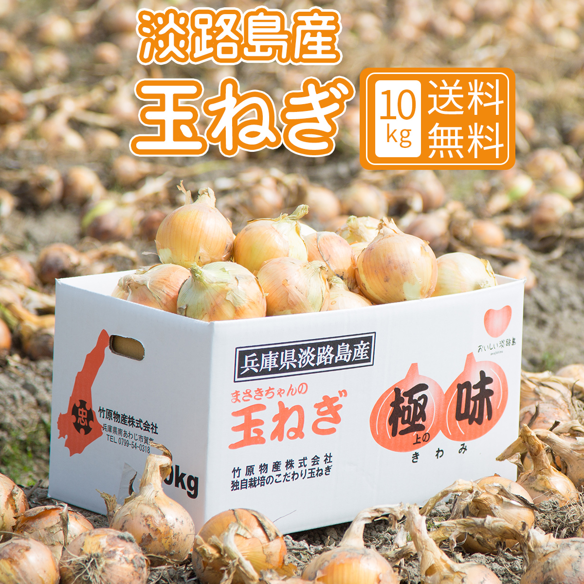 たまねぎ　5個 楽天市場】味で勝負！産地直送！淡路島の極味玉ねぎ5kg こだわりの有機