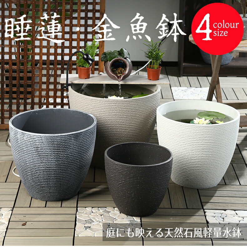 楽天市場】金魚鉢 水鉢 ビオトープ 睡蓮鉢 メダカ鉢 すいれん鉢 メダカ