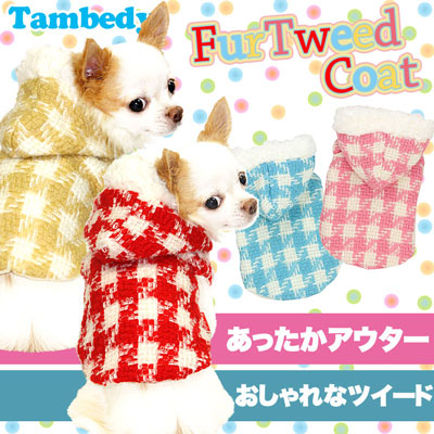 犬、服、アウター