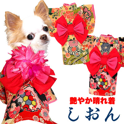 楽天市場 16周年 Sale 開催中 犬 服 犬の服 ドッグウェア 艶やか晴れ着 しおん コサージュ別売 ポリちりめん 1809 ペットウェア 着物 正月 七五三 ダックス トイプードル チワワ タムベディ かわいい ポメラニアン 着せやすい 犬服専門店