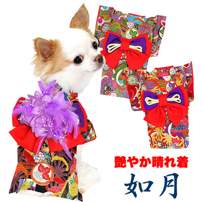 楽天市場 16周年 Sale 開催中 犬 服 犬の服 ドッグウェア 艶やか晴れ着 如月 きさらぎ コサージュ別売 1709 着物 年賀状 初詣 トイプードル チワワ ダックス タムベディ おしゃれ 柴犬 犬服専門店ｔambedyｄogｗear